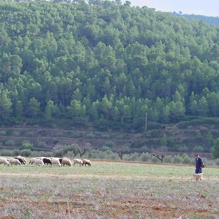 La Bodega Enoturismo Rural Mogente 외부 사진