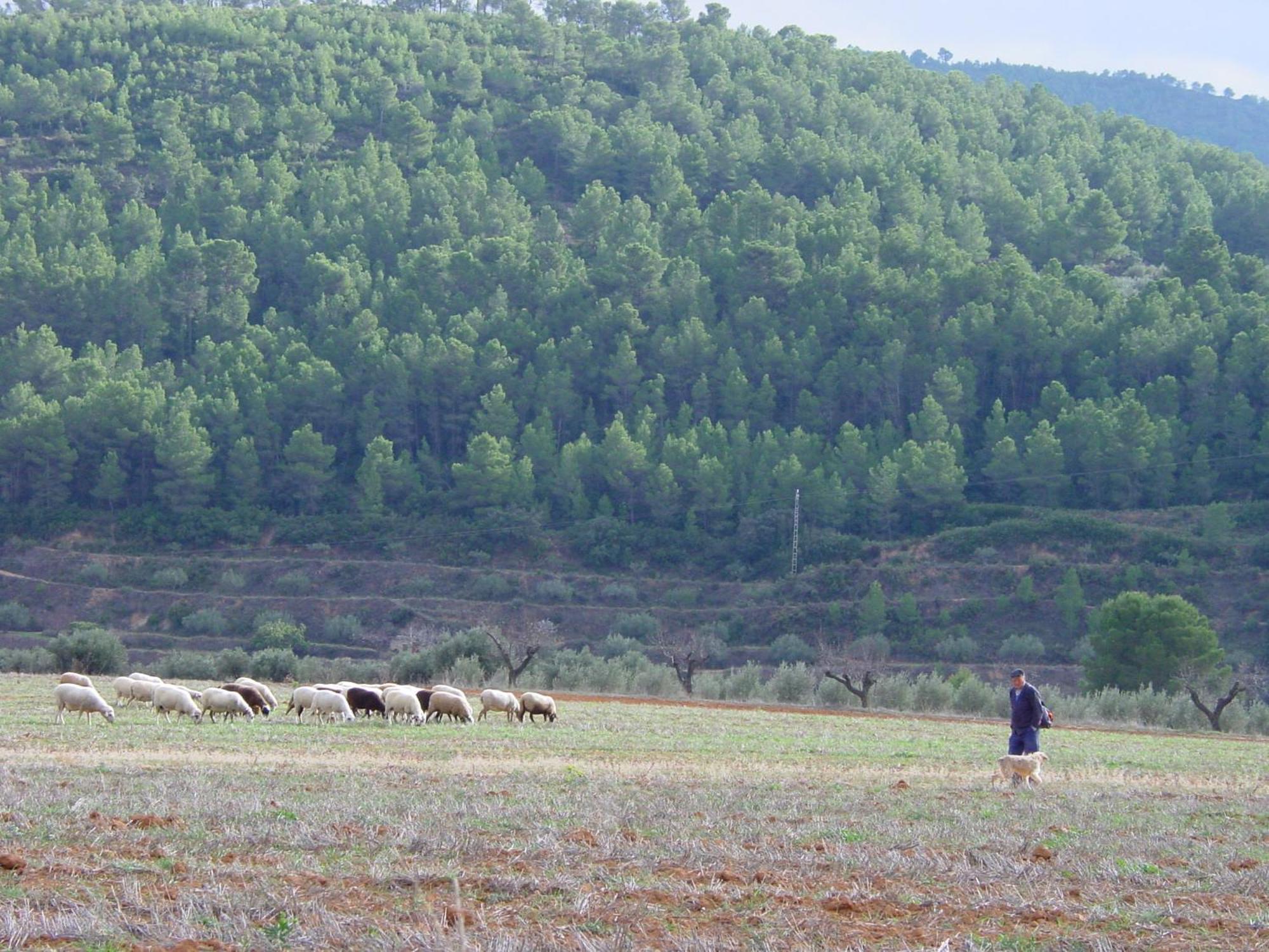 La Bodega Enoturismo Rural Mogente 외부 사진